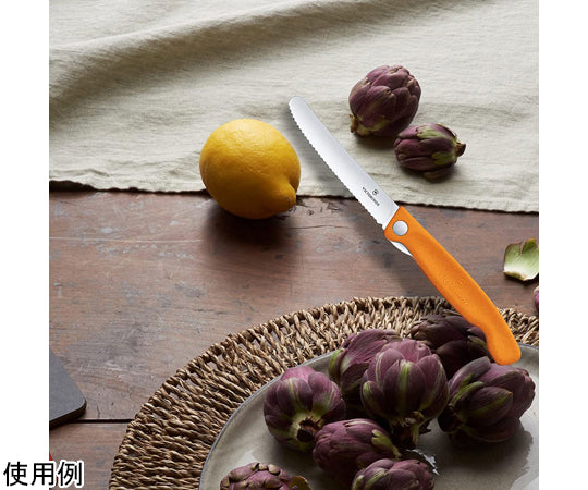 Swiss Classic Folding Paring Knife Orange 6.7836.F9B 1 piece