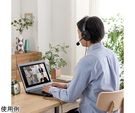 有線ヘッドセット 両耳オーバーヘッド 大型 USB-A 1.8m ブラック　HS-HP02SUBK 1個