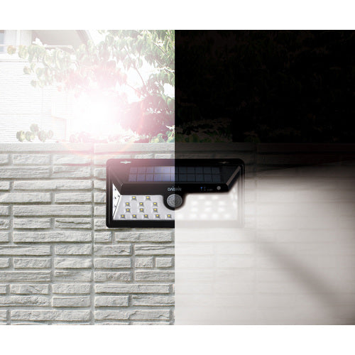 大進　広角ソーラーウォールライト　DLS-WL005　1 台