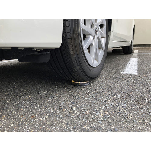 大進　埋め込み式ソーラーガーデンライトタフ電球色　DG-006R4　1 個