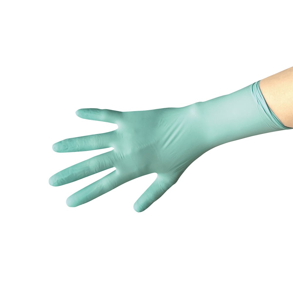 니트릴 장갑 에콜로지스터(가황 촉진제 프리) L 200장입 280040 1상자(200장입)