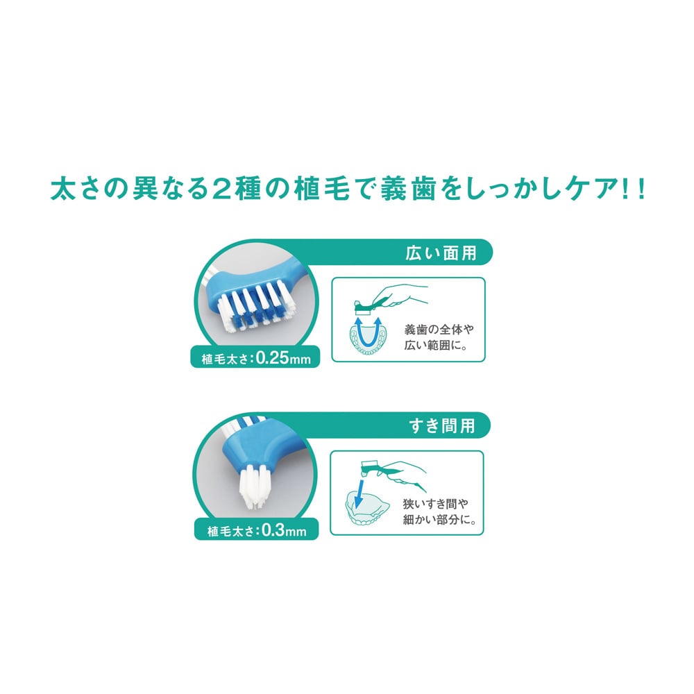 義歯ブラシ　GU-001 1本