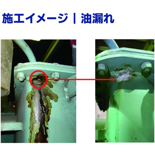 前田シェル　ＵＶ硬化型漏洩補修材　リークブロック　１０ｇ　LB-10G　1 個