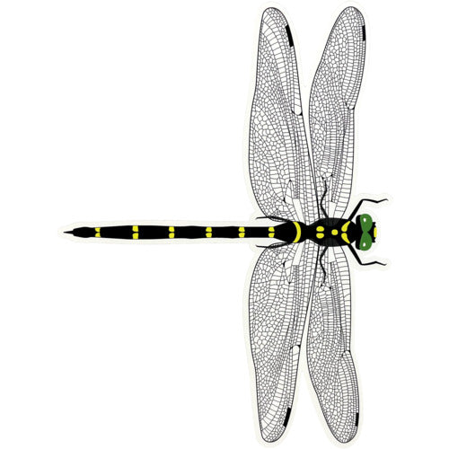 빛 오니 얀마 씰 1 시트 6 매입 TOB-90 1 SHT