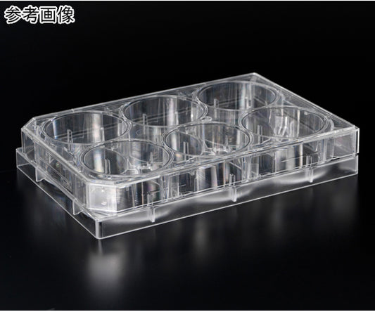 Microplate for suspension culture (without surface treatment) 6 well 45 pieces 1810-006N 1 box (45 pieces)