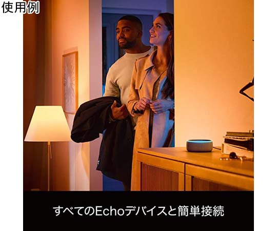 Philips Hue ホワイトグラデーション E17 2個セット　PLH48GW 1箱(2個入)