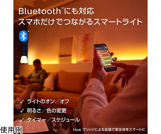 Philips Hue ホワイトグラデーション E17 2個セット　PLH48GW 1箱(2個入)