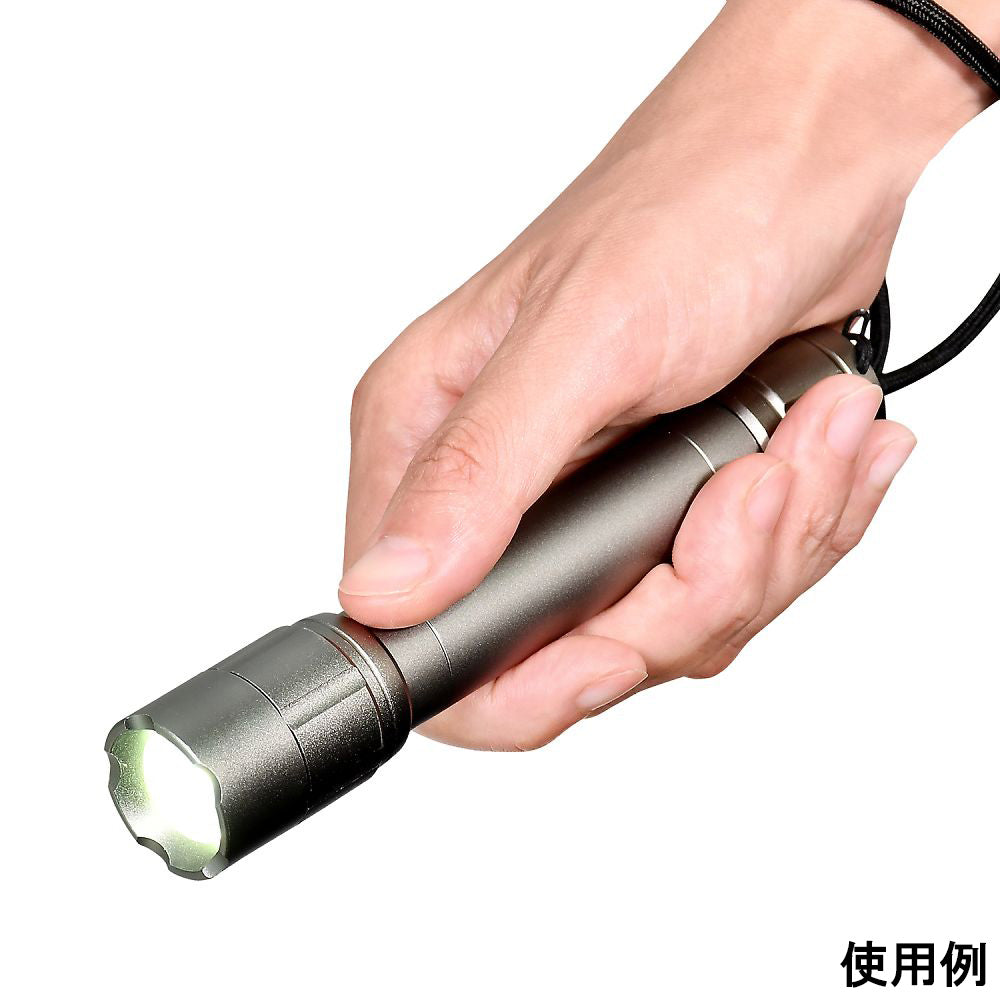 LEDアルミライト　DOP-EP420 1個