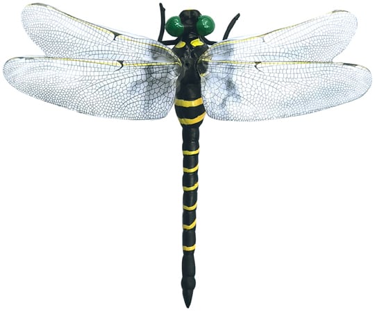 Oni-Dragonma with safety pin and strap parts TR-ONY001 1 piece