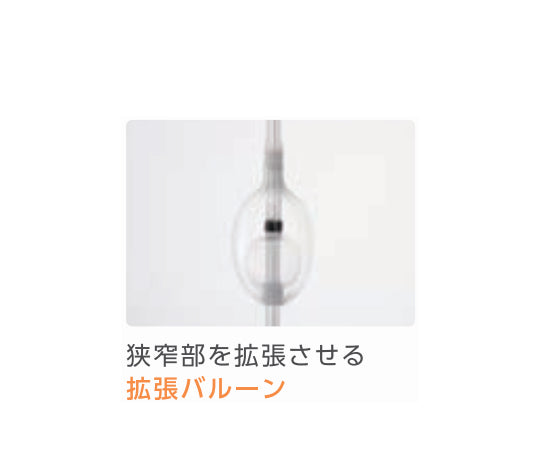 食道拡張用バルーンカテーテル 14Fr 2本入　8000015366 1箱(2本入)