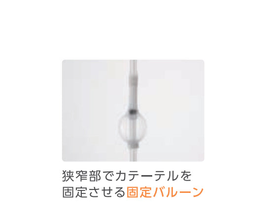 食道拡張用バルーンカテーテル 14Fr 2本入　8000015366 1箱(2本入)