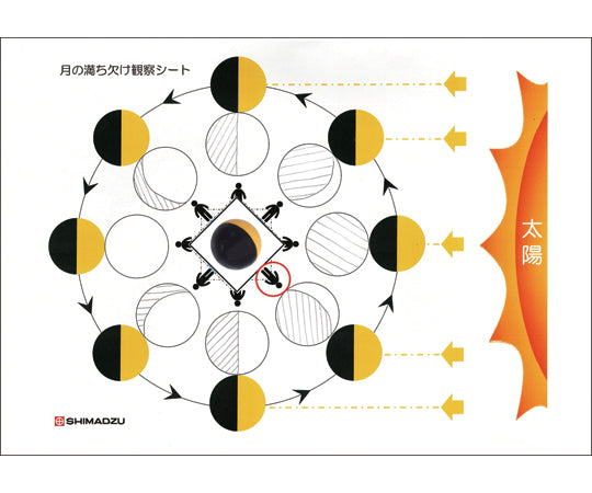 月の満ち欠け観察器 ME-100　146-150 1台