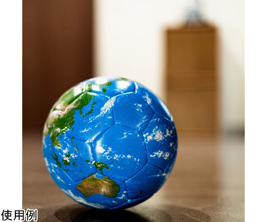 AR Globe Hobonichi Earth Ball PLAY 45963 1 piece