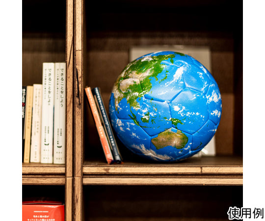 AR Globe Hobonichi Earth Ball PLAY 45963 1 piece