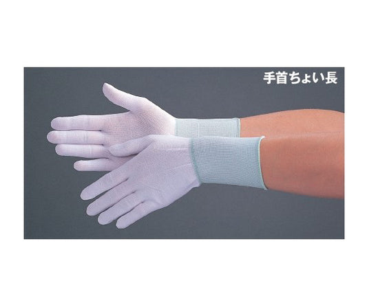 Clean Glove Fit Gloves L Size 10 pairs MAX-7002._L 1 bag (10 pairs)