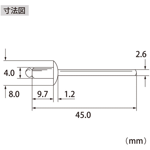 エビ　ブラインドリベット（アルミ／アルミ製）　５−４（１０００本入）　箱入　NA54A　1 箱