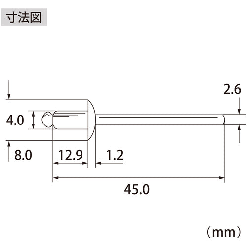 エビ　ブラインドリベット（アルミ／アルミ製）　５−６（１０００本入）　箱入　NA56A　1 箱