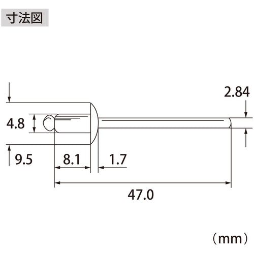 エビ　ブラインドリベット（ステンレス／スティール製）　６−２（１０００本入）　箱入　NSS62A　1 箱