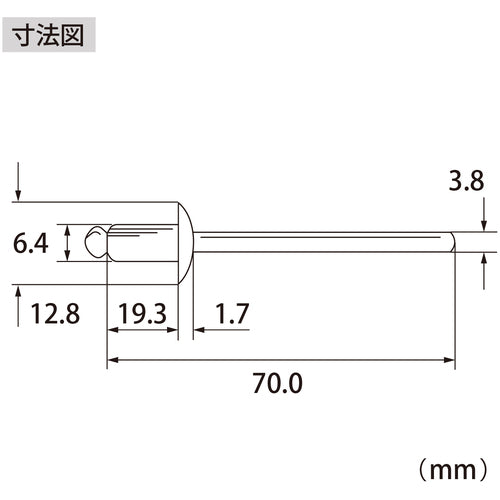 エビ　ブラインドリベット（アルミ／スティール製）８−８（２５０本入）　箱入　NSA88A　1 箱