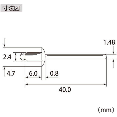 エビ　ブラインドリベット（ステンレス／スティール製）　３−２（１０００本入）　箱入　NSS32A　1 箱