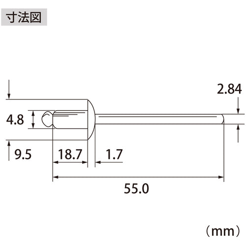 エビ　ブラインドリベット（ステンレス／スティール製）　６−８（５００本入）　箱入　NSS68A　1 箱