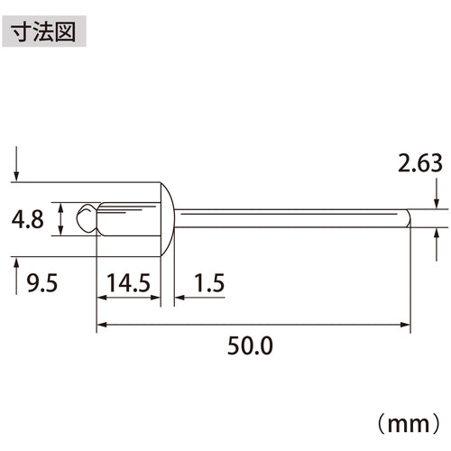 エビ　ブラインドリベット（アルミ／スティール製）６−６（５００本入）　箱入　NSA66A　1 箱