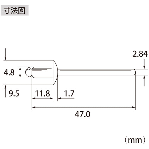 エビ　ブラインドリベット（ステンレス／スティール製）　６−４（１０００本入）　箱入　NSS64A　1 箱