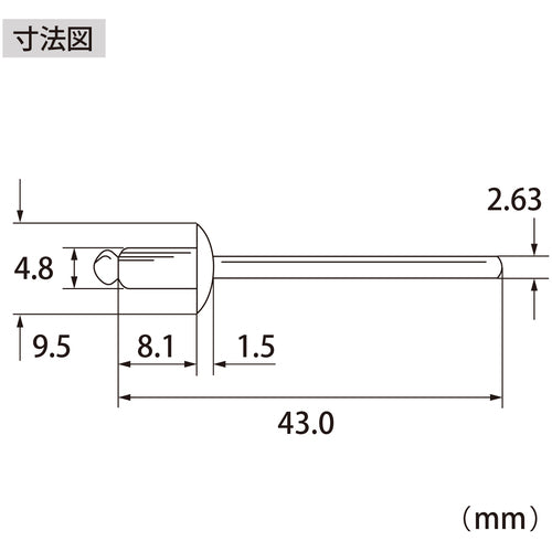 エビ　ブラインドリベット（アルミ／スティール製）６−２（１０００本入）　箱入　NSA62A　1 箱