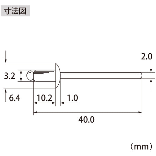 エビ　ブラインドリベット（ステンレス／スティール製）　４−４（１０００本入）　箱入　NSS44A　1 箱