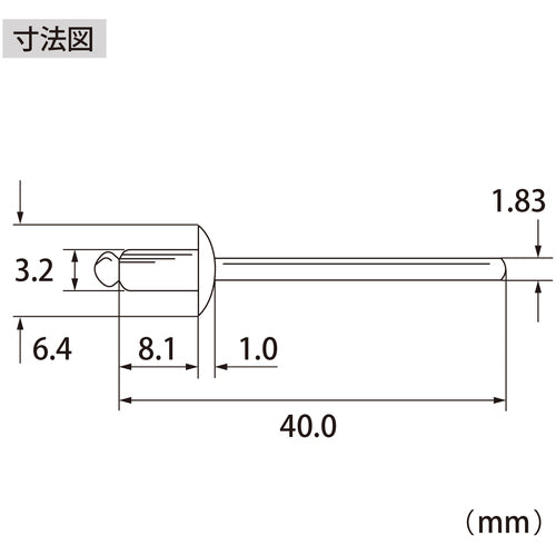 エビ　ブラインドリベット（アルミ／スティール製）４−３（１０００本入）　箱入　NSA43A　1 箱