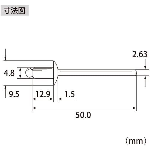 エビ　ブラインドリベット（アルミ／スティール製）６−５（５００本入）　箱入　NSA65A　1 箱