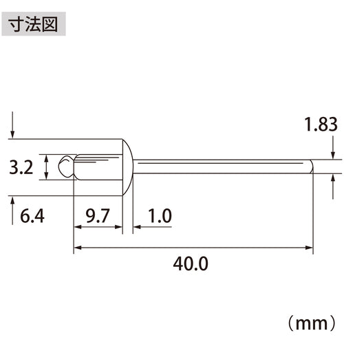 エビ　ブラインドリベット（アルミ／スティール製）４−４（１０００本入）　箱入　NSA44A　1 箱