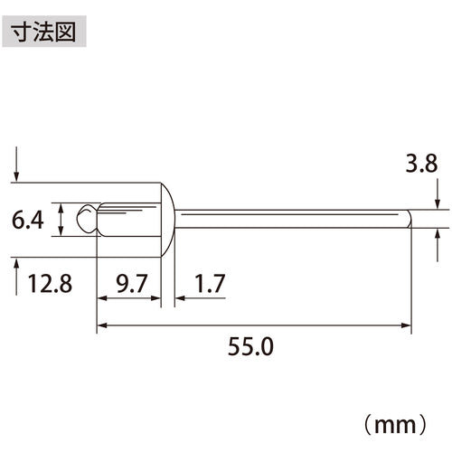 エビ　ブラインドリベット（アルミ／スティール製）８−２（２５０本入）　箱入　NSA82A　1 箱