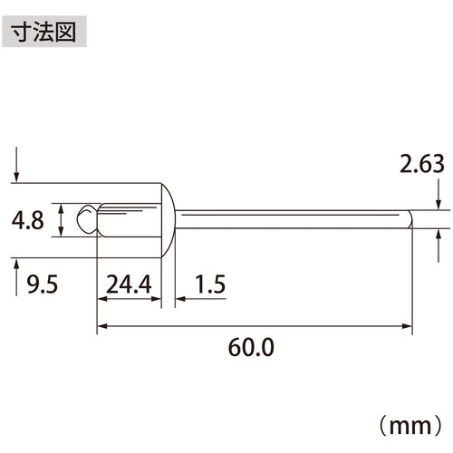 エビ　ブラインドリベット（アルミ／スティール製）６−１２（５００本入）　箱入　NSA612A　1 箱