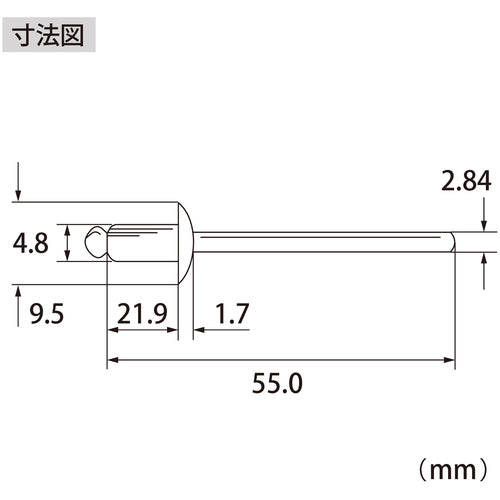 エビ　ブラインドリベット（ステンレス／スティール製）　６−１０（５００本入）　箱入　NSS610A　1 箱