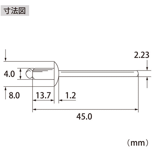 エビ　ブラインドリベット（アルミ／スティール製）５−６（１０００本入）　箱入　NSA56A　1 箱