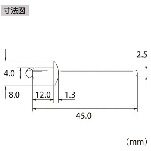 エビ　ブラインドリベット（ステンレス／ステンレス製）　５−５（１０００本入）　箱入　NST55A　1 箱