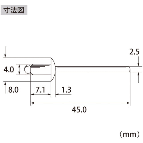 エビ　ブラインドリベット（ステンレス／ステンレス製）　５−２（１０００本入）　箱入　NST52A　1 箱