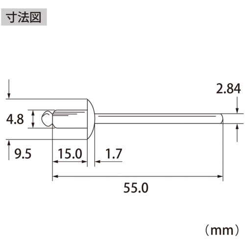 エビ　ブラインドリベット（ステンレス／ステンレス製）　６−６（５００本入）　箱入　NST66A　1 箱