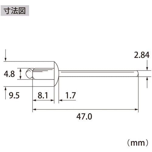 エビ　ブラインドリベット（ステンレス／ステンレス製）　６−２（１０００本入）　箱入　NST62A　1 箱