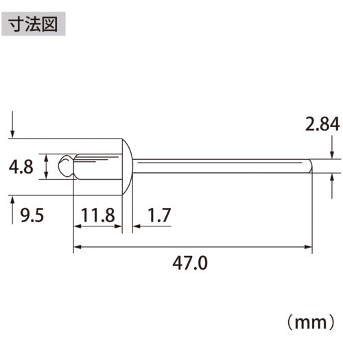 エビ　ブラインドリベット（ステンレス／ステンレス製）　６−４（１０００本入）　箱入　NST64A　1 箱