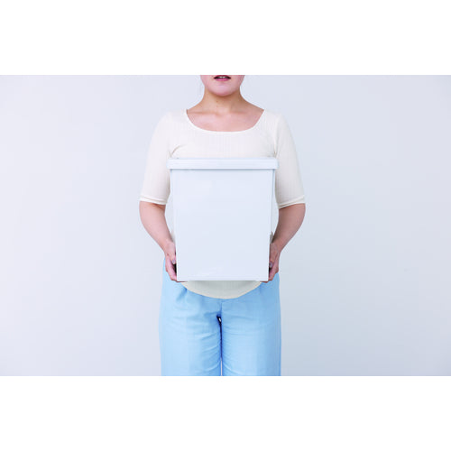 ＴＥＮＭＡ　いれと庫ｉｎｔｅｒｉｏｒ　Ｌ　グレー　110015467　1 個