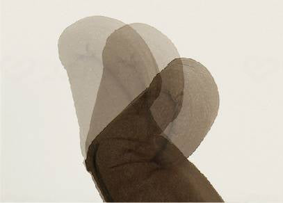 Glory Plan Reclining Personal Sofa Care-407-RC Brown