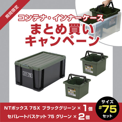 ＪＥＪアステージ　【８月５日〜９月５日まで】ＮＴボックス＃７５Ｘ　１個＋セパレートバスケット　グリーン＃７５　２個　まとめ買い１０％ＯＦＦキャンペーン　NT75X+SPB-N75G2P　1 Ｓ