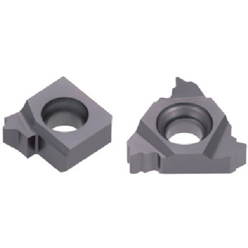 탕갈로이 텅스레드 내경용 PT나사 인서트 IR/L-PT TH10 11IR19PT 5개