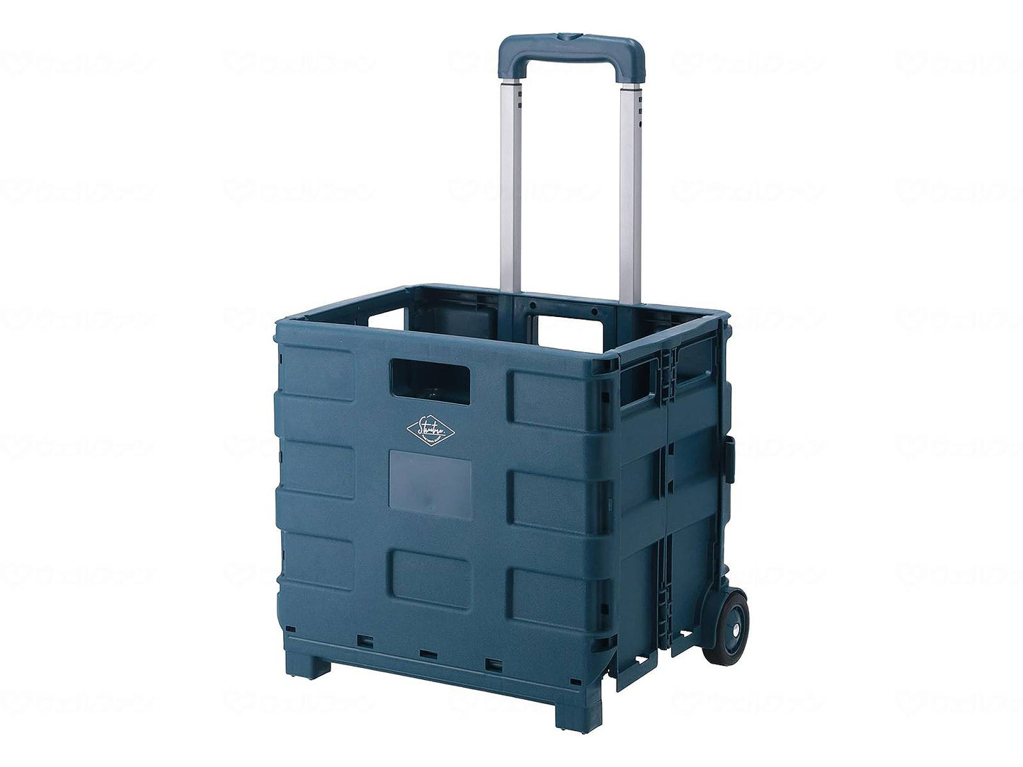 후지 무역 퓨리어드 링키트 ST05 라이비