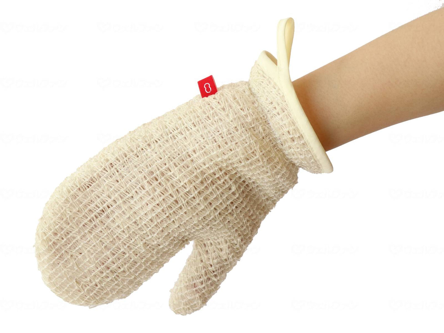 오토 키비 소호 데미 툰