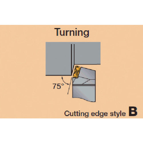 Tungaloy External TAC Bit TLBNR4040R24 1 piece