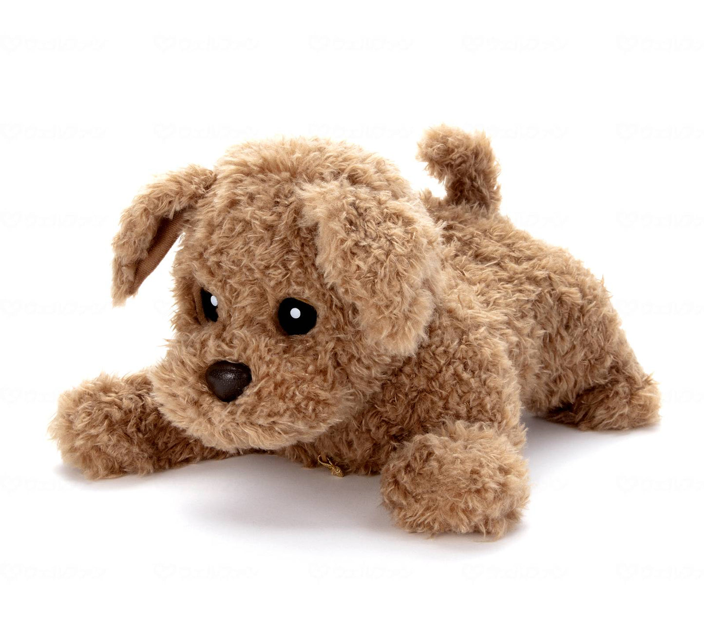 타카라 토미 아트 더 오리 코다 키 브라