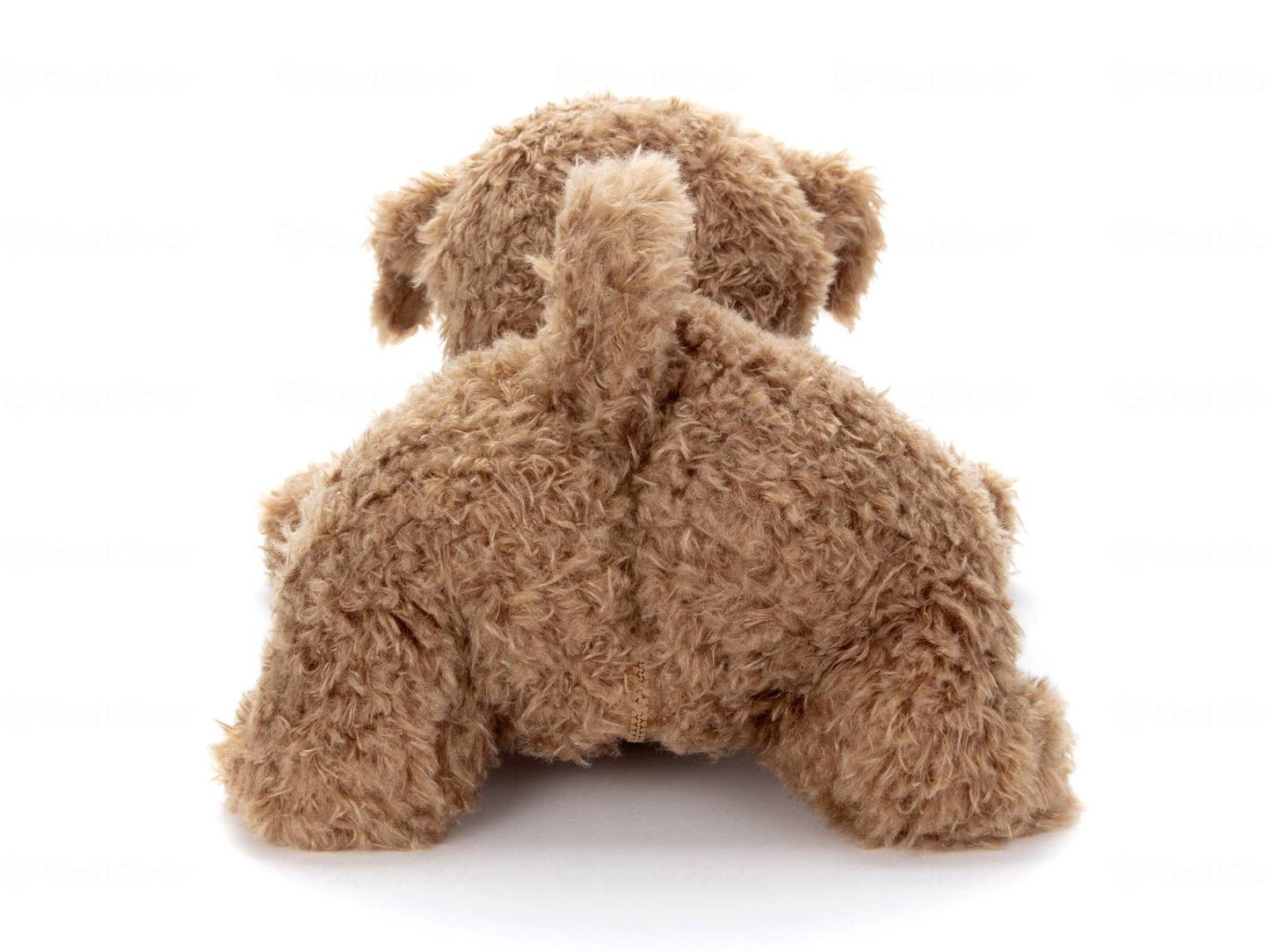 타카라 토미 아트 더 오리 코다 키 브라